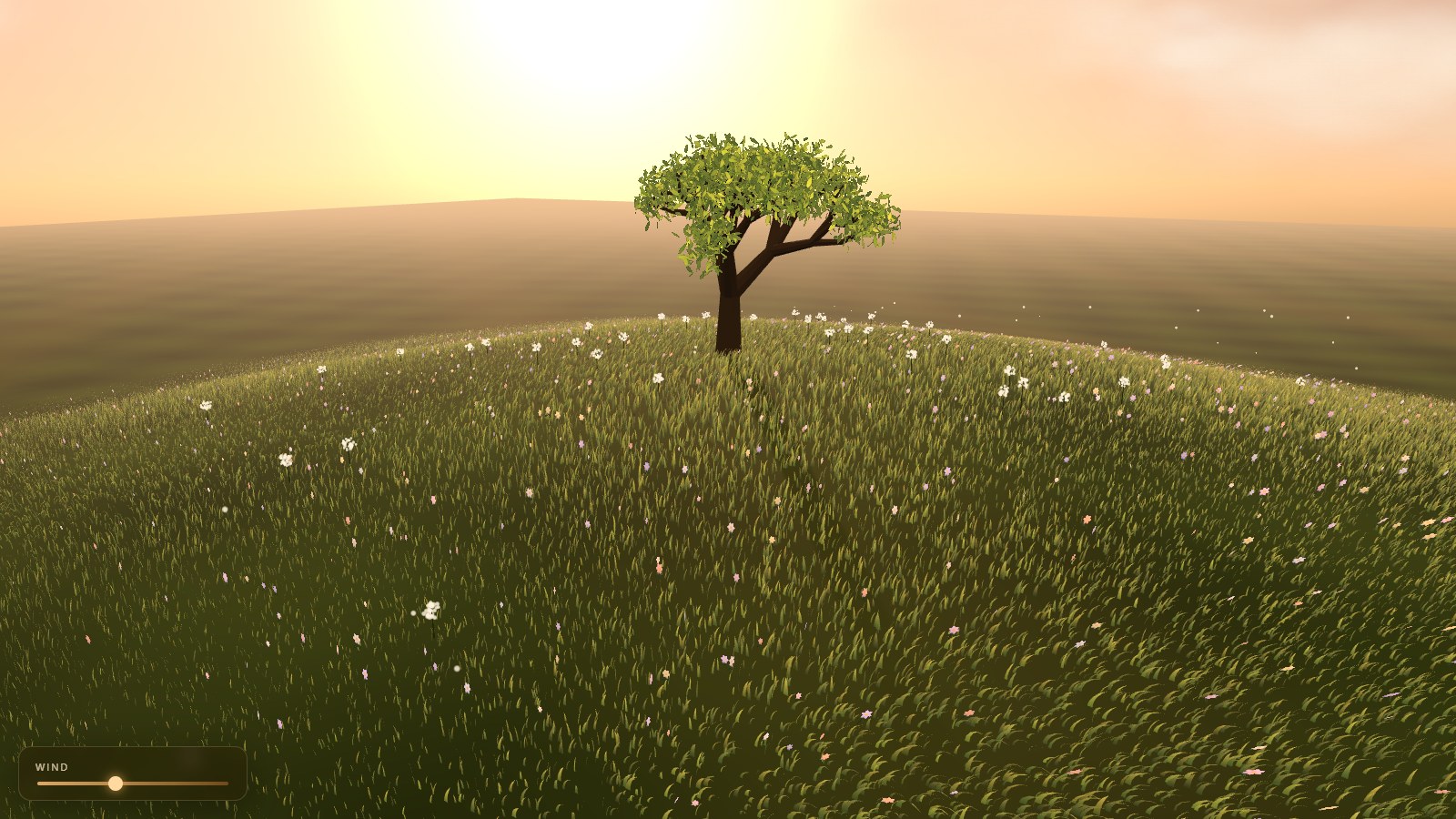 DeepSeek V4.1 Flash-1017 · Golden hour