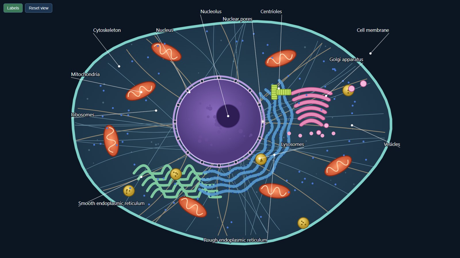 Claude Opus 5.5 · Dark, detailed cell