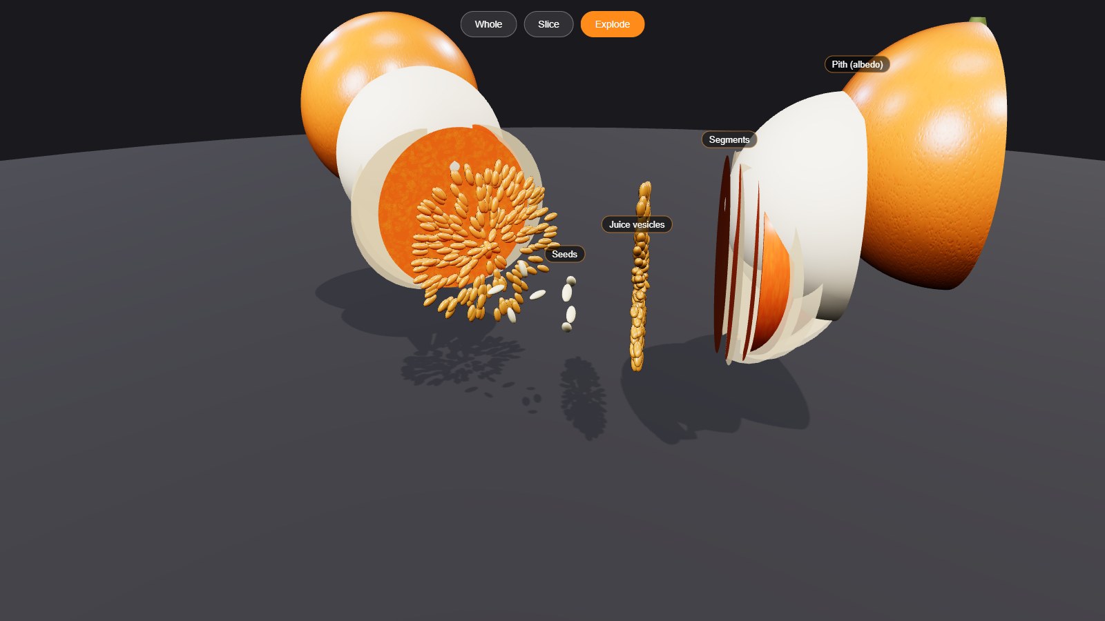 Claude Opus 5.5 · Orange that comes apart